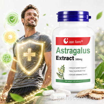 Gli integratori di astragalo Shecome per adulti migliorano l'immunità